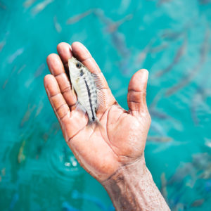 Fischen am Malawisee, Bild aus Afrika erhältlich im Onlineshop