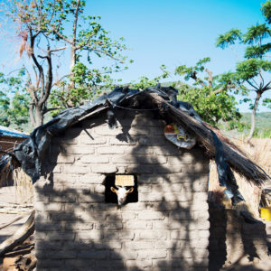 Hütte und Ziege, Landleben in Malawi, Bild aus Afrika erhältlich im Onlineshop